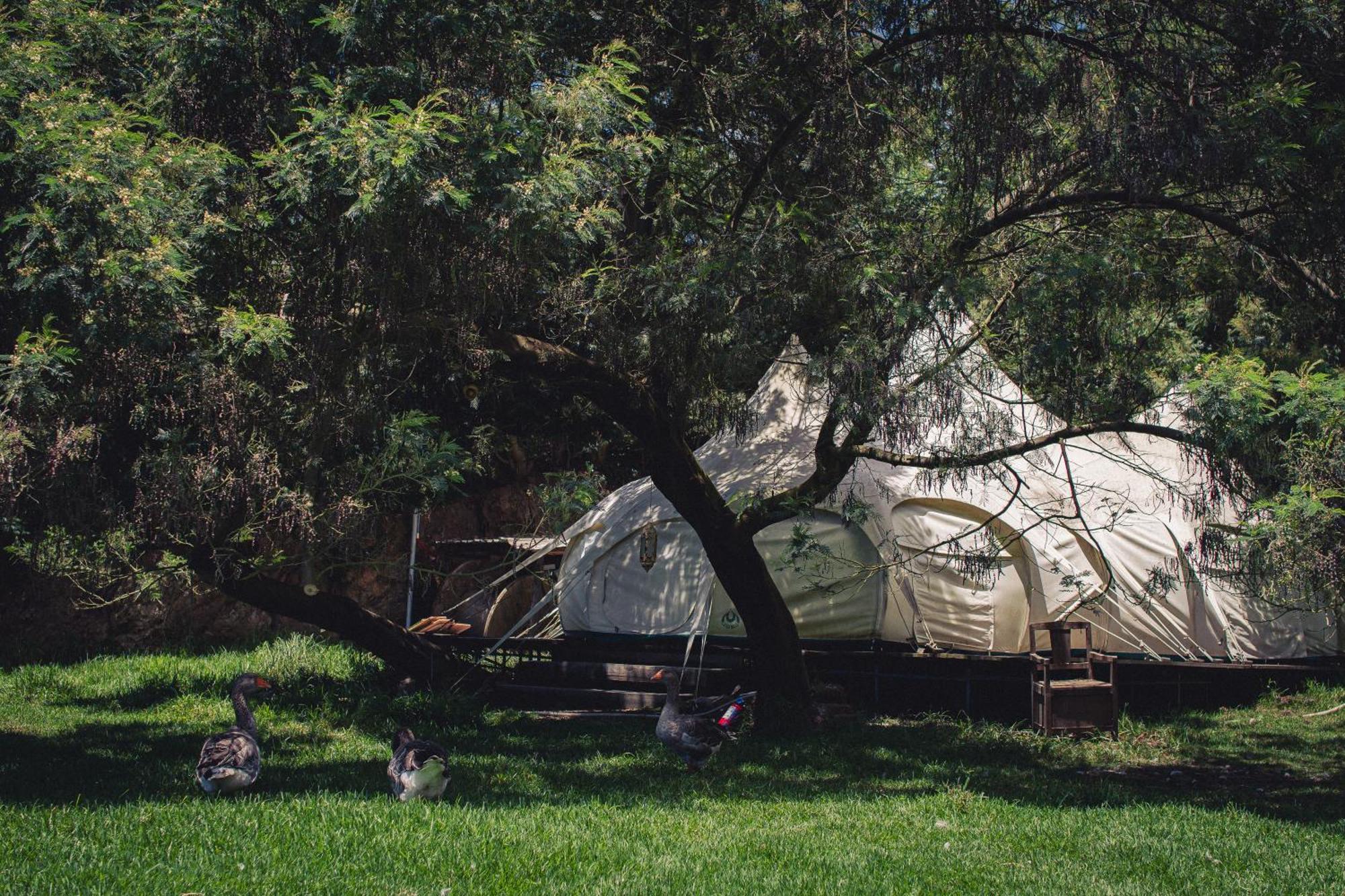 Arambha Ecovillage Farmstay Tabua  Zewnętrze zdjęcie