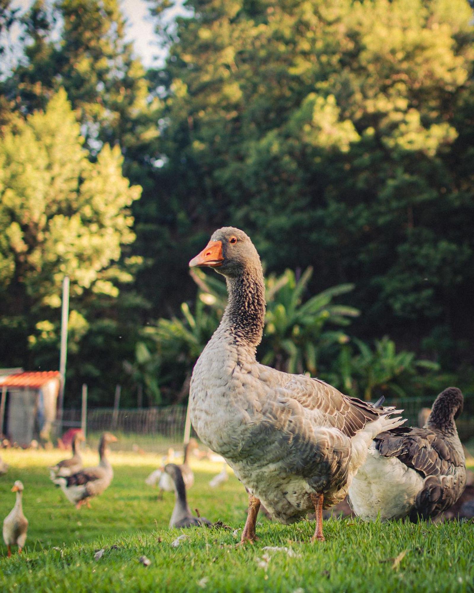 Arambha Ecovillage Farmstay Tabua  Zewnętrze zdjęcie