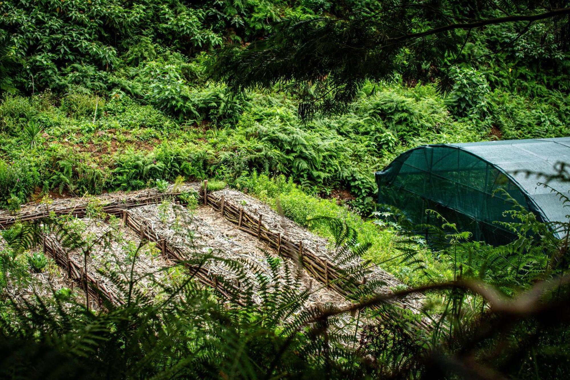 Arambha Ecovillage Farmstay Tabua  Zewnętrze zdjęcie